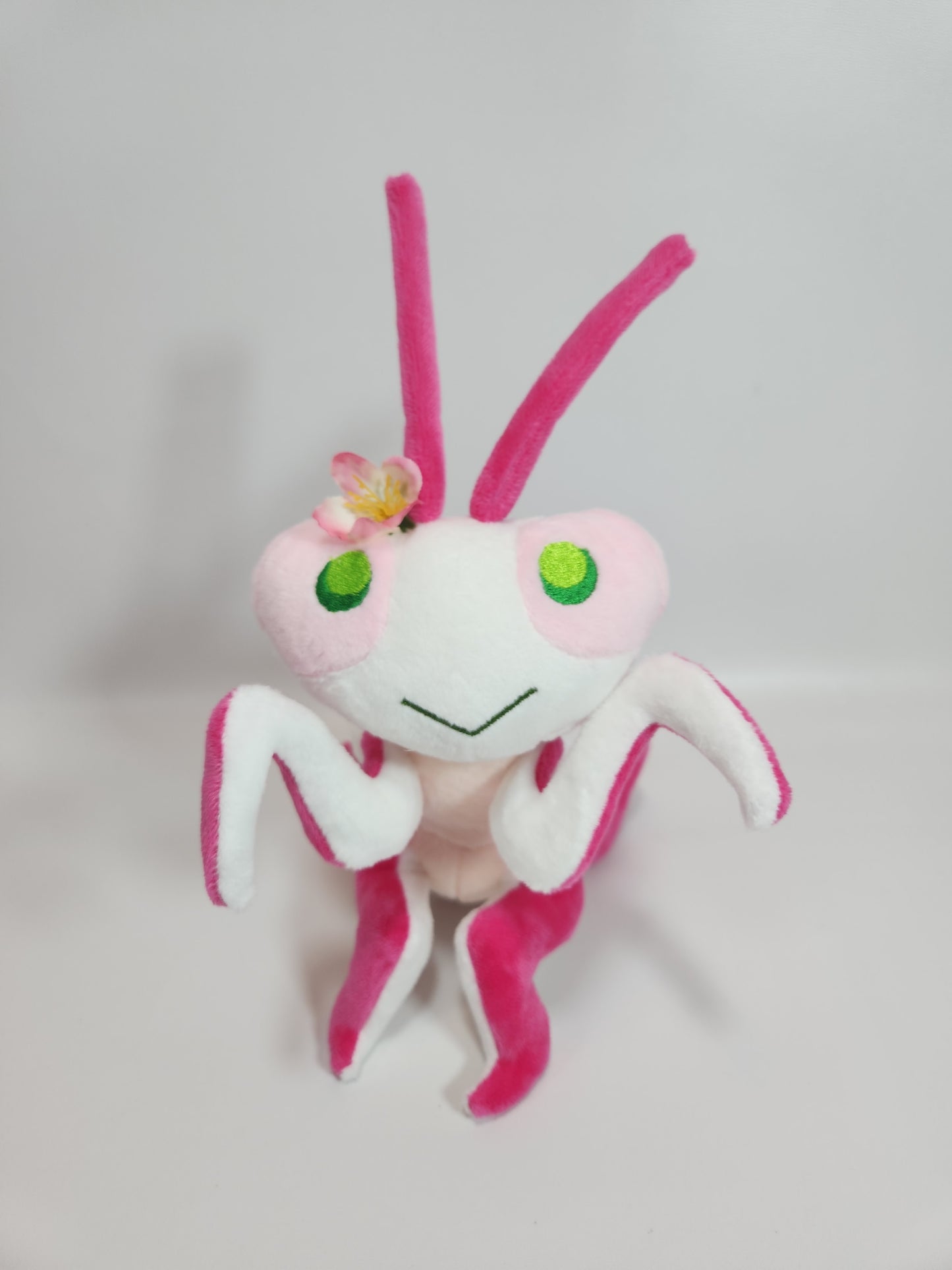 Praying mantis (orchid)