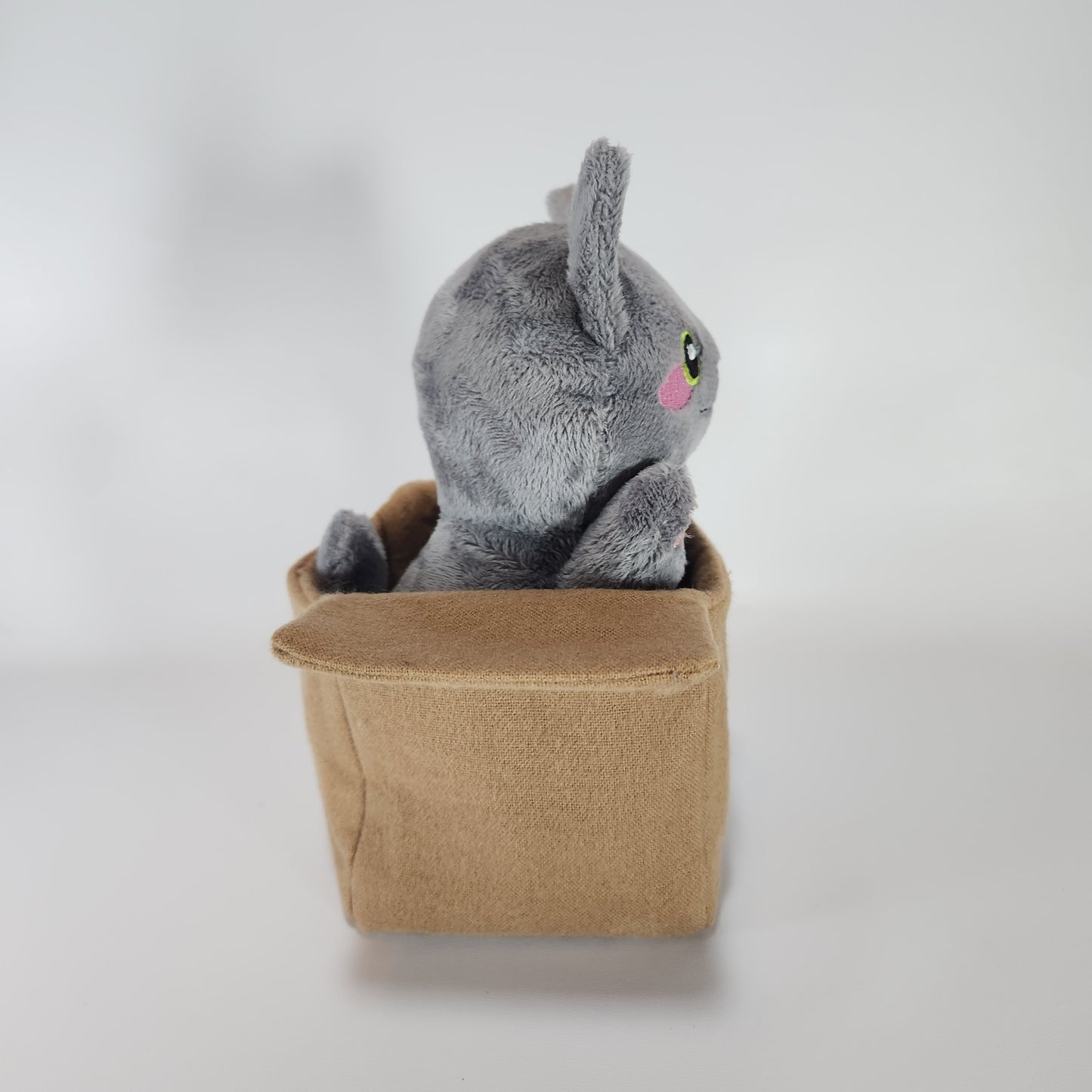 Cat in a Box (Grey Toys)