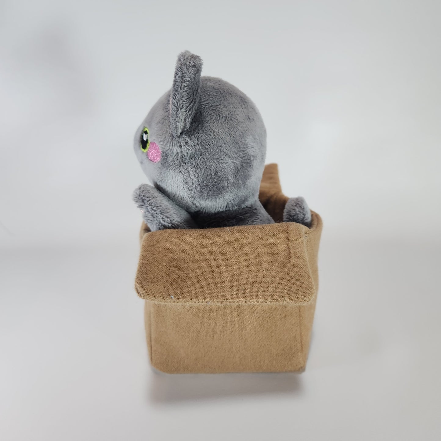 Cat in a Box (Grey Toys)