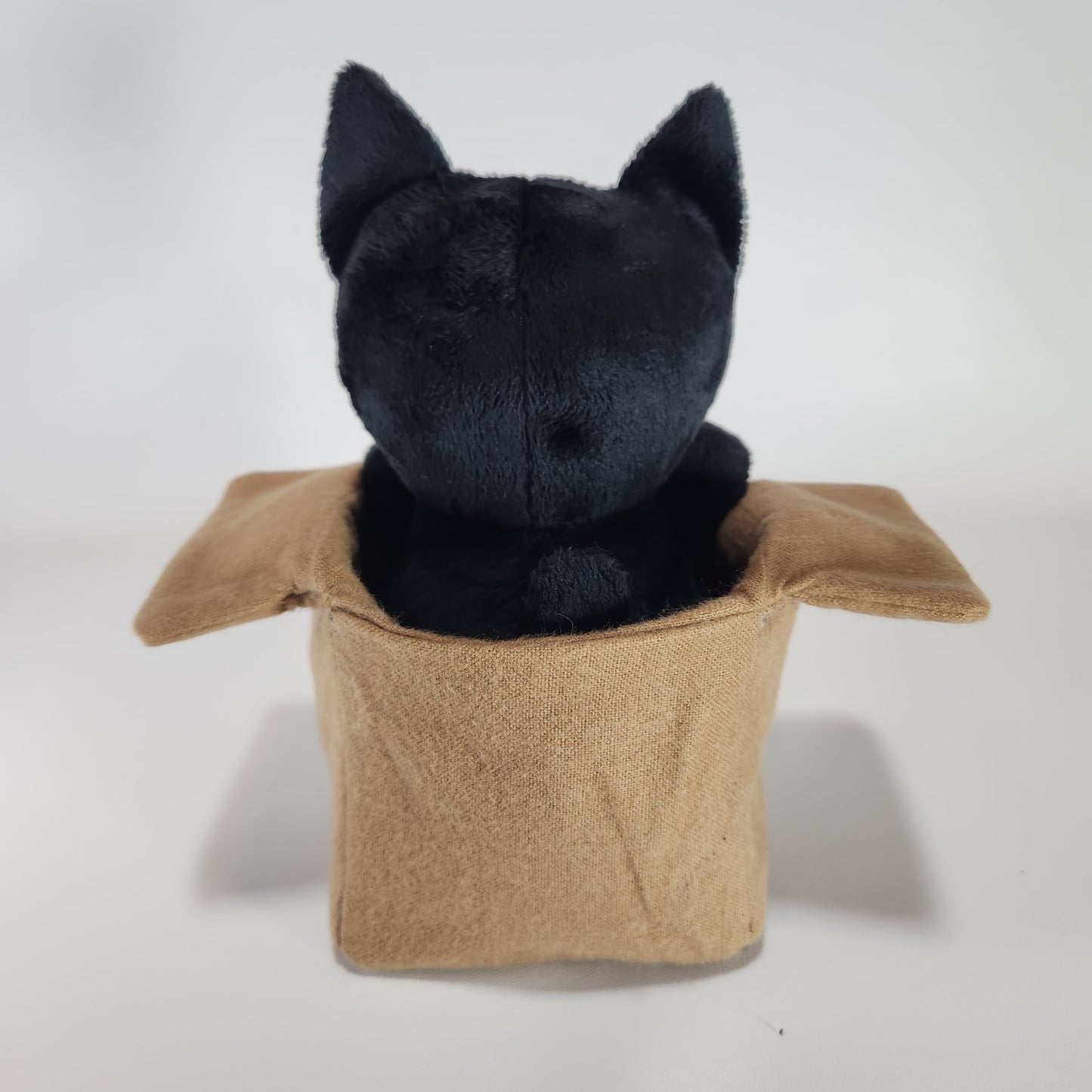 Cat in a Box (Black Fragile)