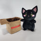 Cat in a Box (Black Fragile)