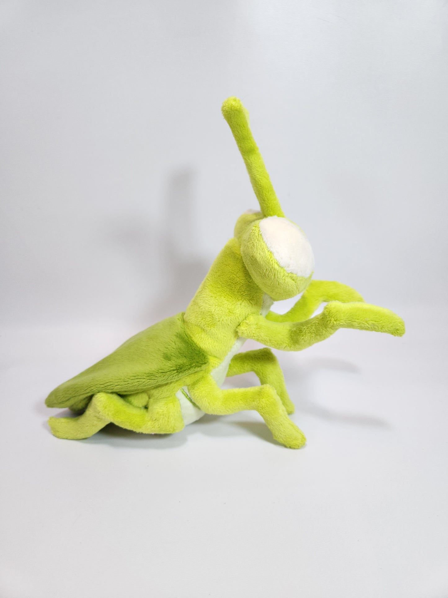 Praying mantis (green apple)