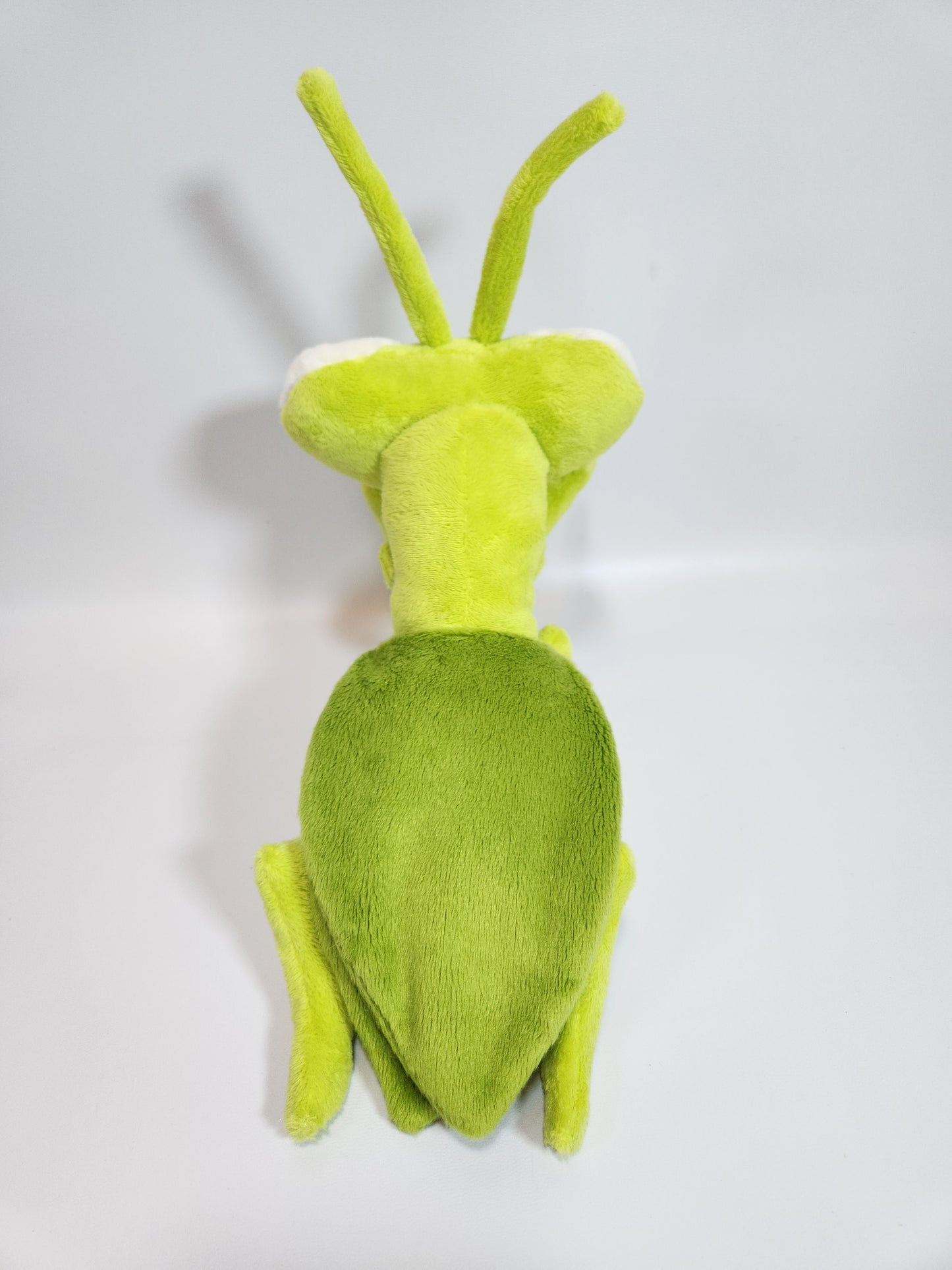 Praying mantis (green apple)