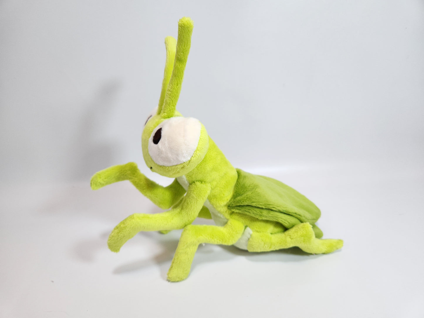 Praying mantis (green apple)