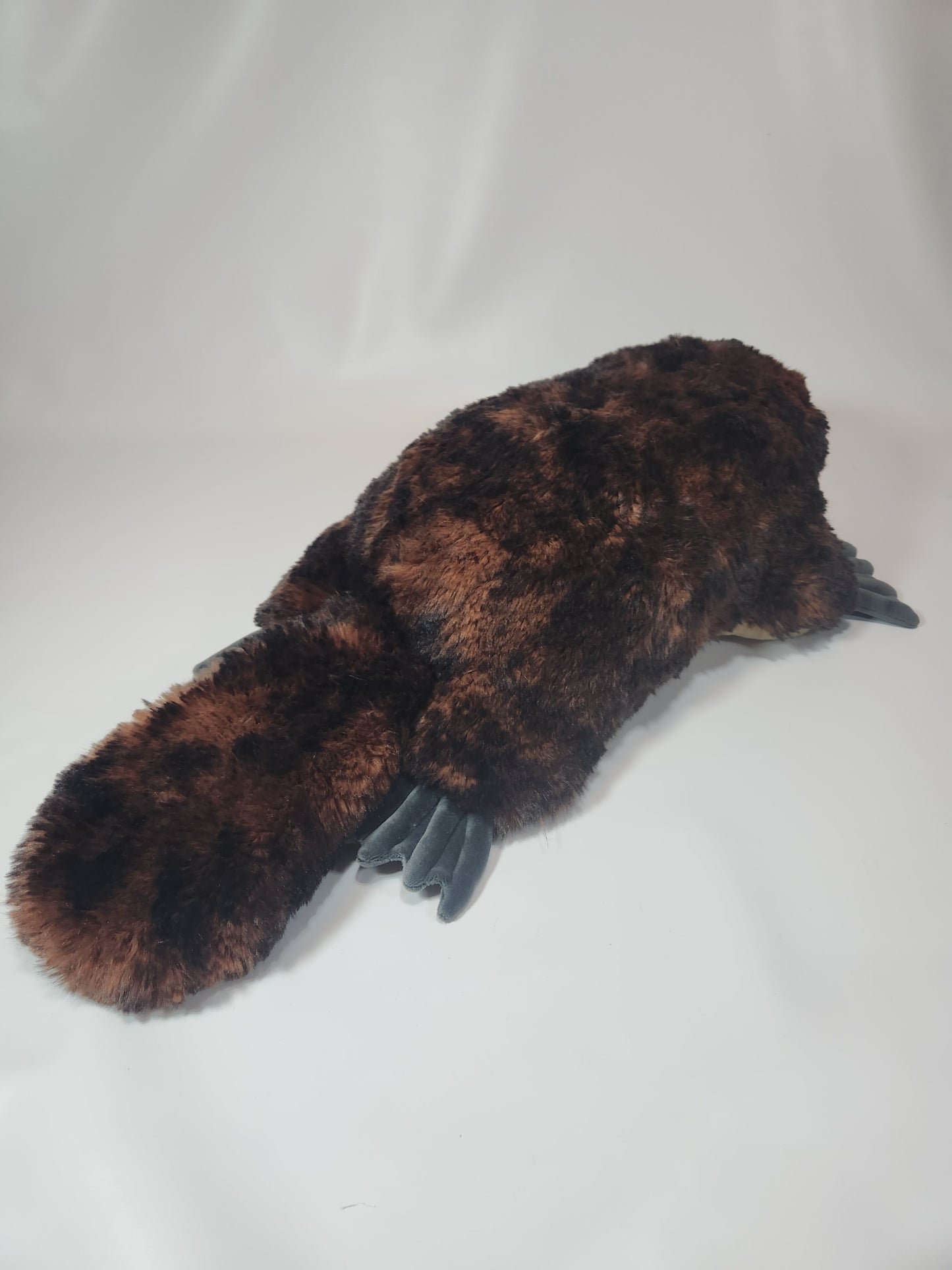 Platypus Plush (Luxe cuddle minky)