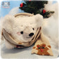 SEWING PATTERN - Cozy Bear Plush