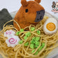 Capybara ramen bowl (minky, open eyes)