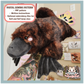 SEWING PATTERN - Platypus Plush