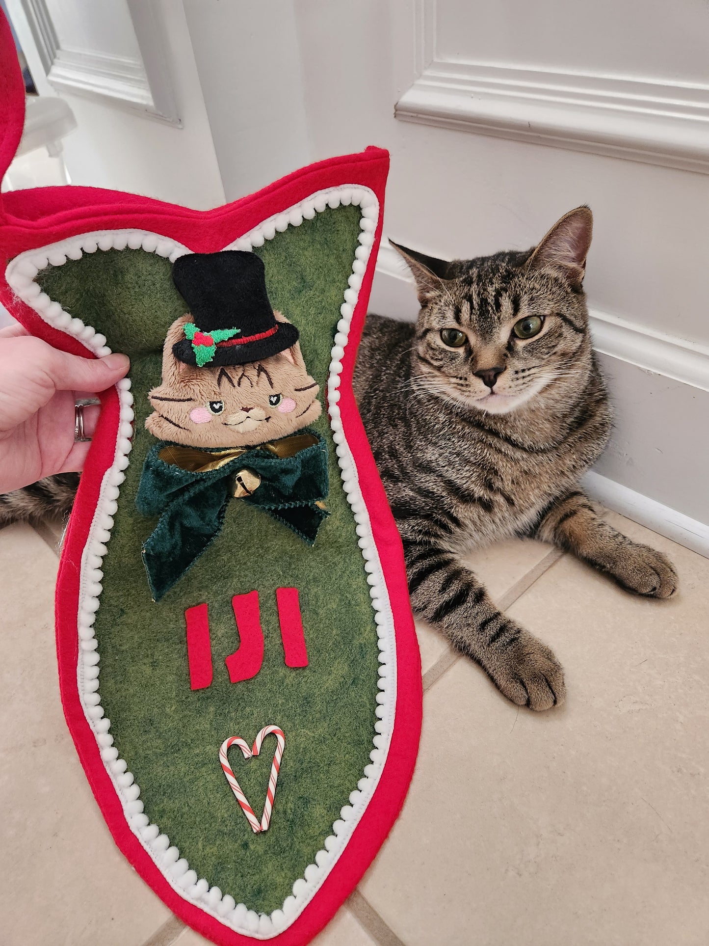 SEWING PATTERN - Fish-Shaped Cat Stocking and ITH Cat Face